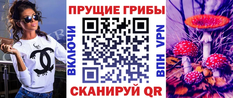 купить   Троицк  Галлюциногенные грибы ЛСД 